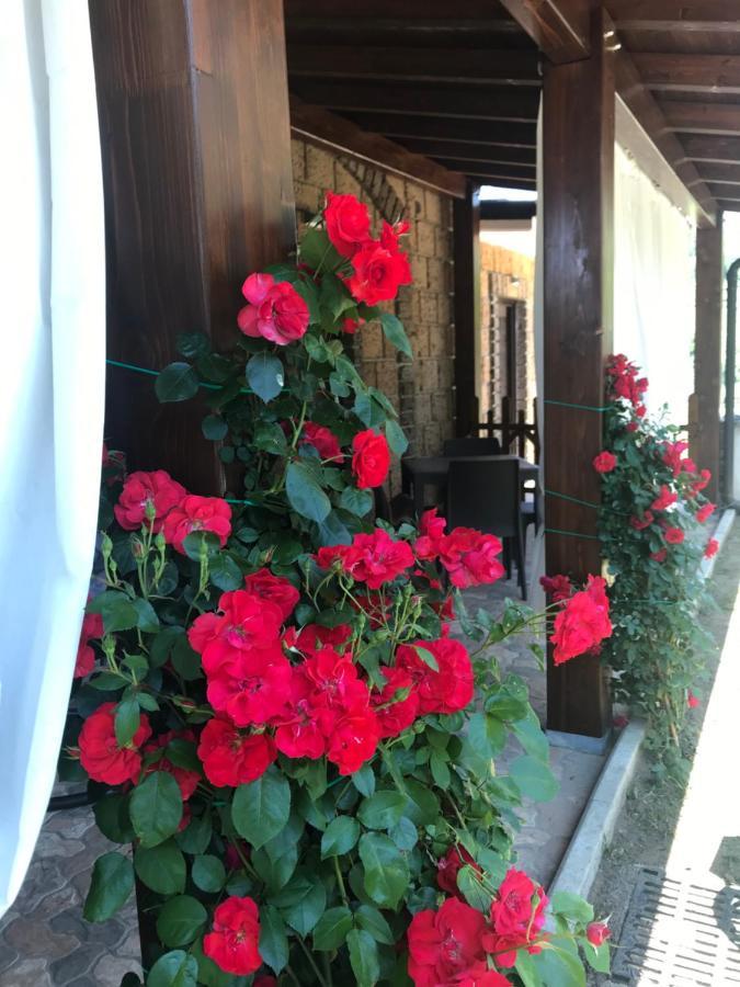 Agriturismo a casa di Susanna Santo Stefano del Sole Exterior foto
