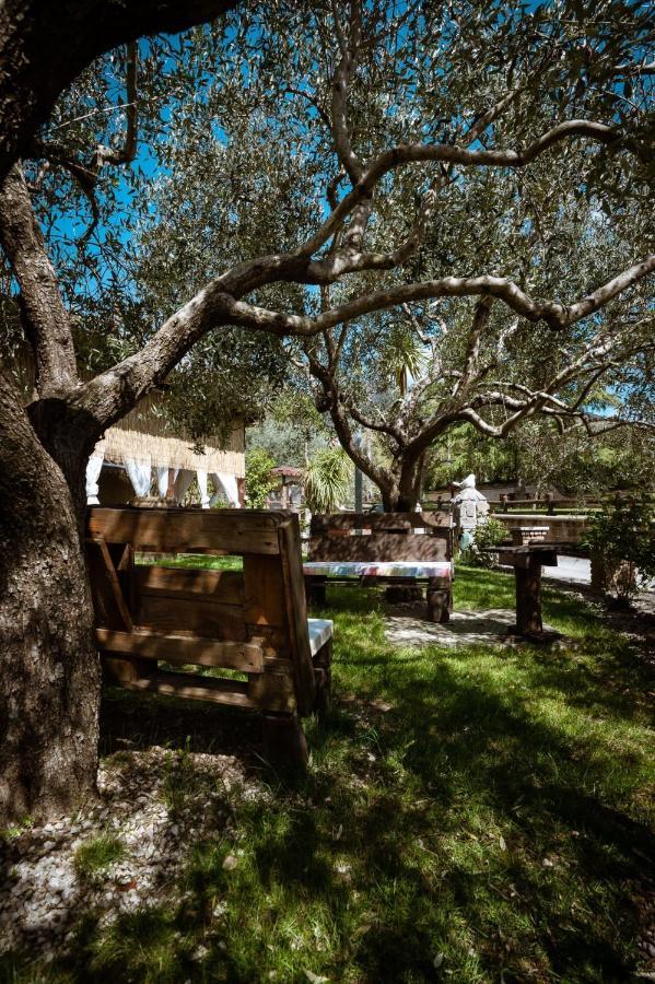 Agriturismo a casa di Susanna Santo Stefano del Sole Exterior foto